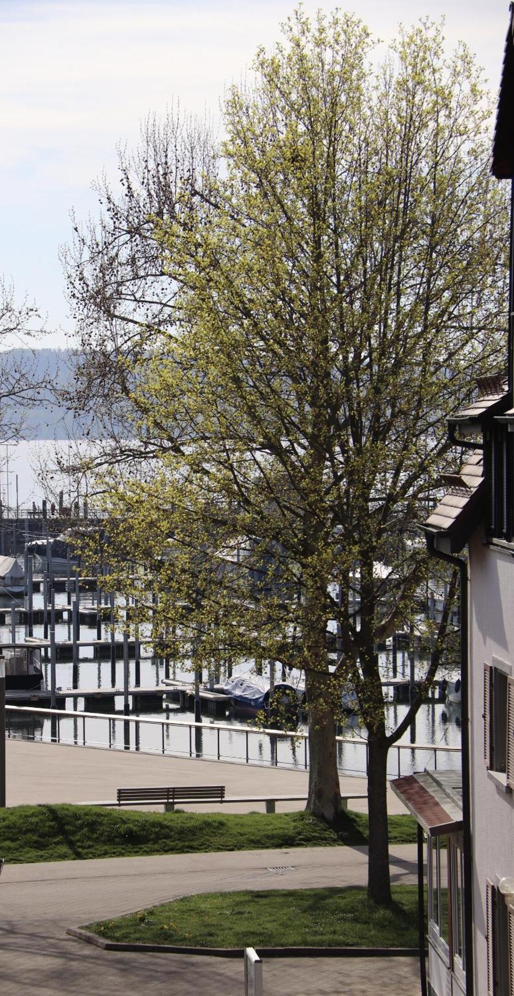 Gaestehaus Maeder Am Hafen Uhldingen-Mühlhofen Exterior foto