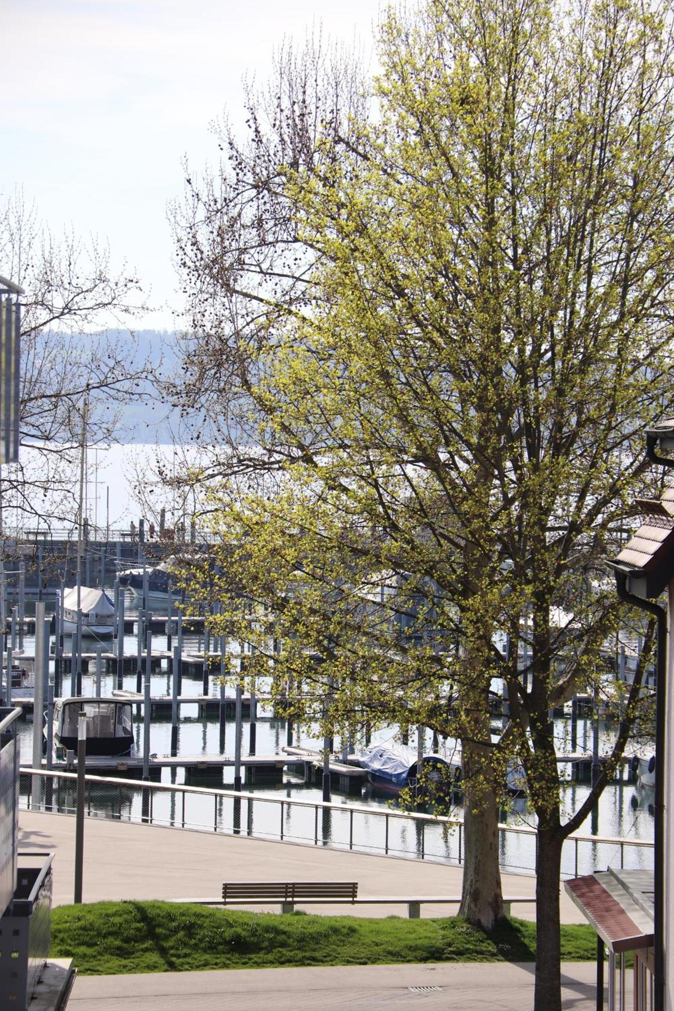 Gaestehaus Maeder Am Hafen Uhldingen-Mühlhofen Quarto foto