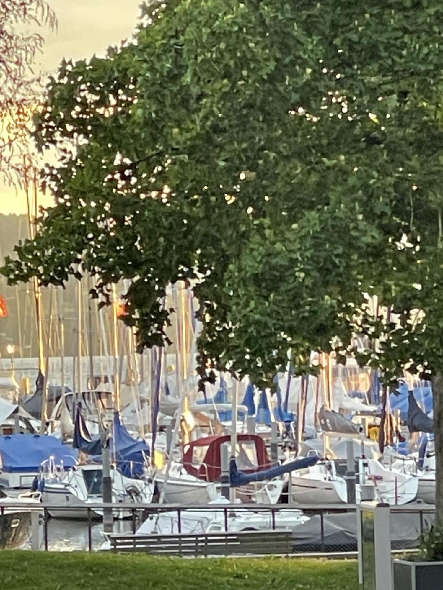 Gaestehaus Maeder Am Hafen Uhldingen-Mühlhofen Exterior foto